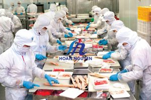 Dịch vụ làm giấy chứng nhận vệ sinh an toàn thực phẩm