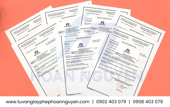 Giấy chứng nhận y tế (Health Certificate - HC) thực phẩm xuất khẩu Giấy chứng nhận y tế (Health Certificate - HC) thực phẩm xuất khẩu