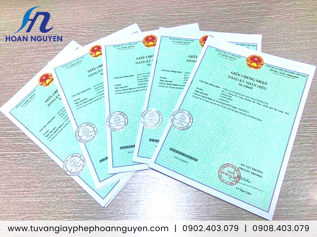 Văn bằng bảo hộ thương hiệu cùi bưởi sấy khô